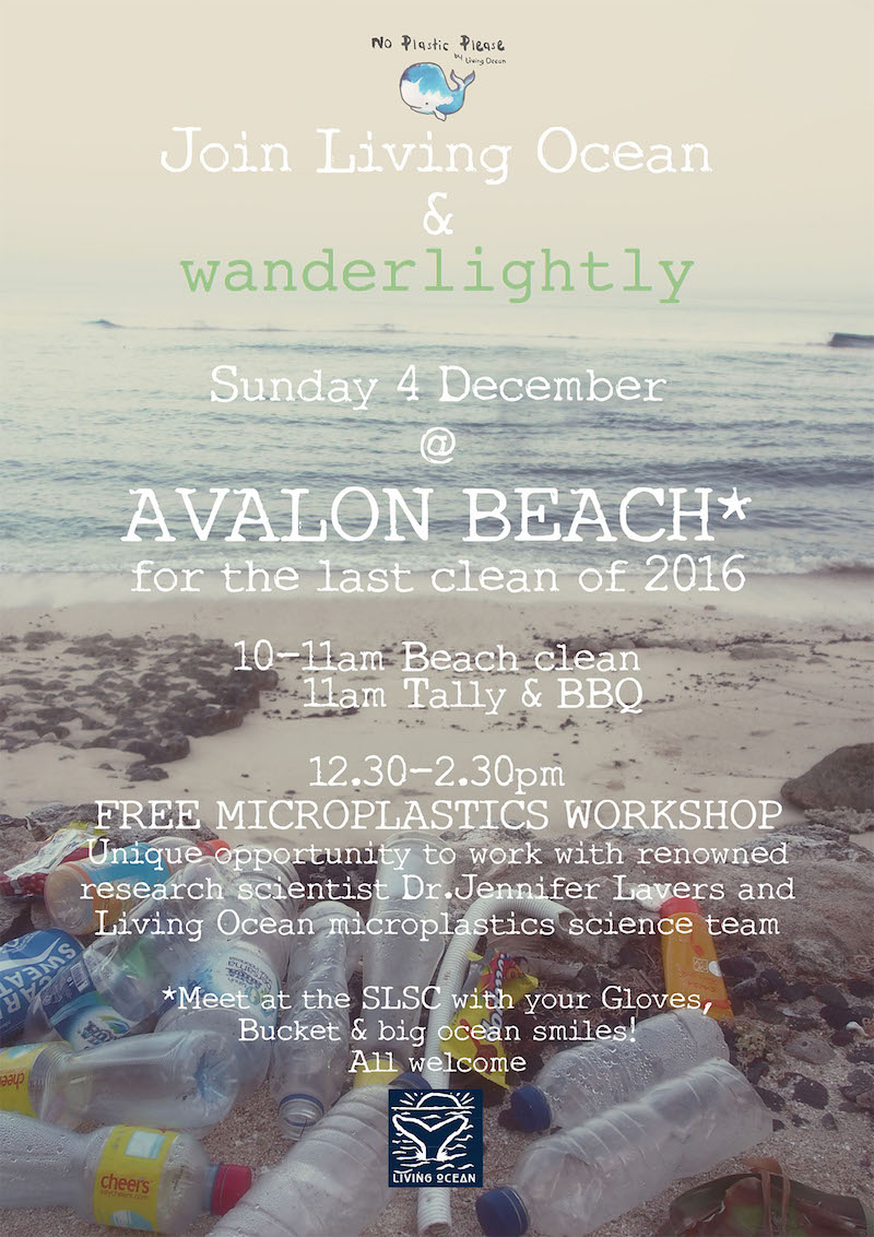 AvalonBeachCleanup