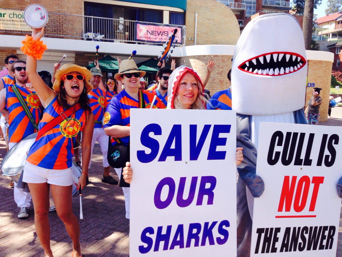 SaveOurSharksSmall