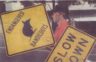 bandicootroadsign