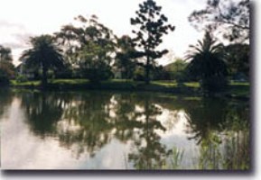 manlylagoon
