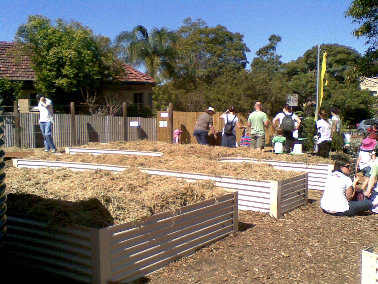 manlyvalecommunitygarden1