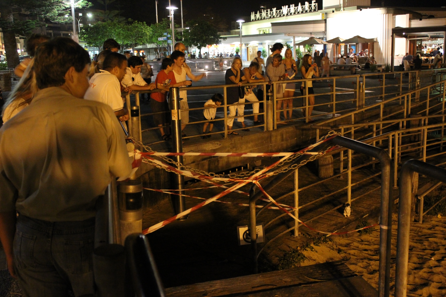 crowd and penguin