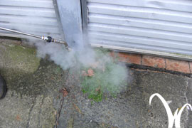 weedtechnics