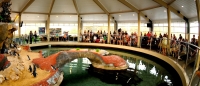 Penguins &amp; people at Manly Sea Life Sanctuary