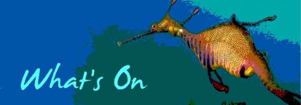 What&#039;s On This Month